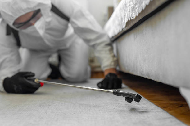 Professional Cockroach Control technician working in New Ulm, MN